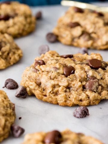 Oatmeal chocolate chip cookies on a baking sheet after baking.