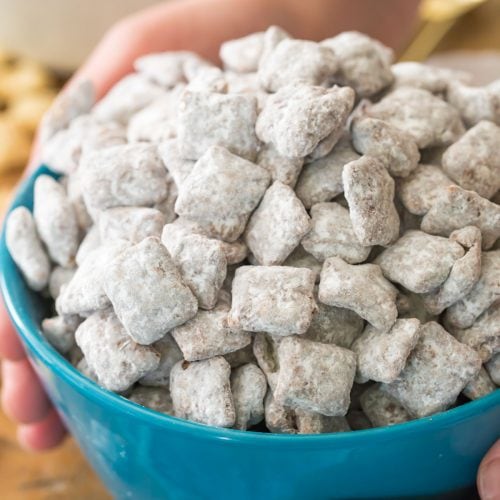 puppy chow in blue bowl