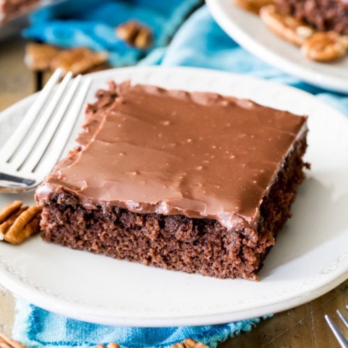 texas sheet cake on white plate